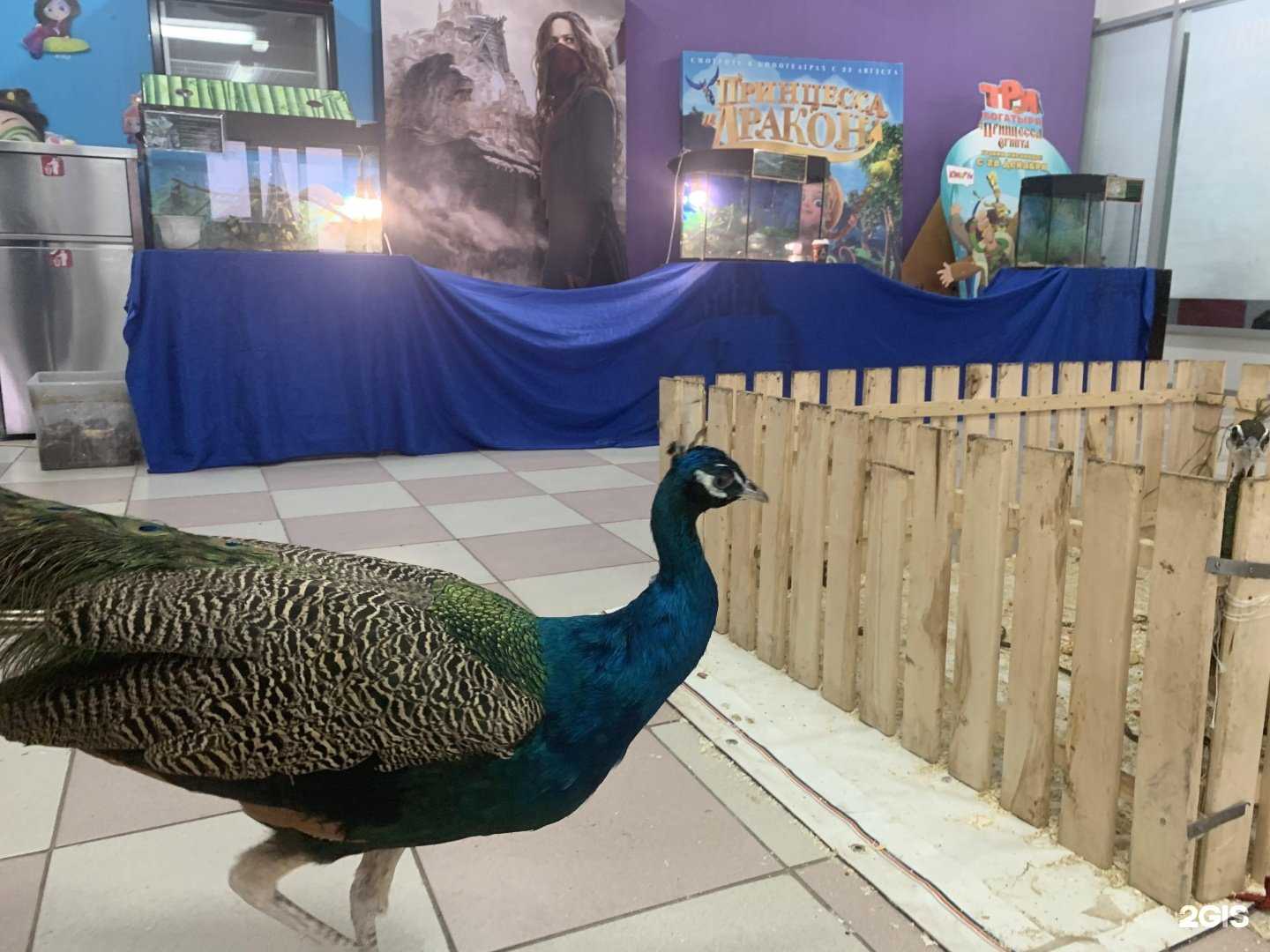 Отзывы на компанию Юрма в Алатыре c фото