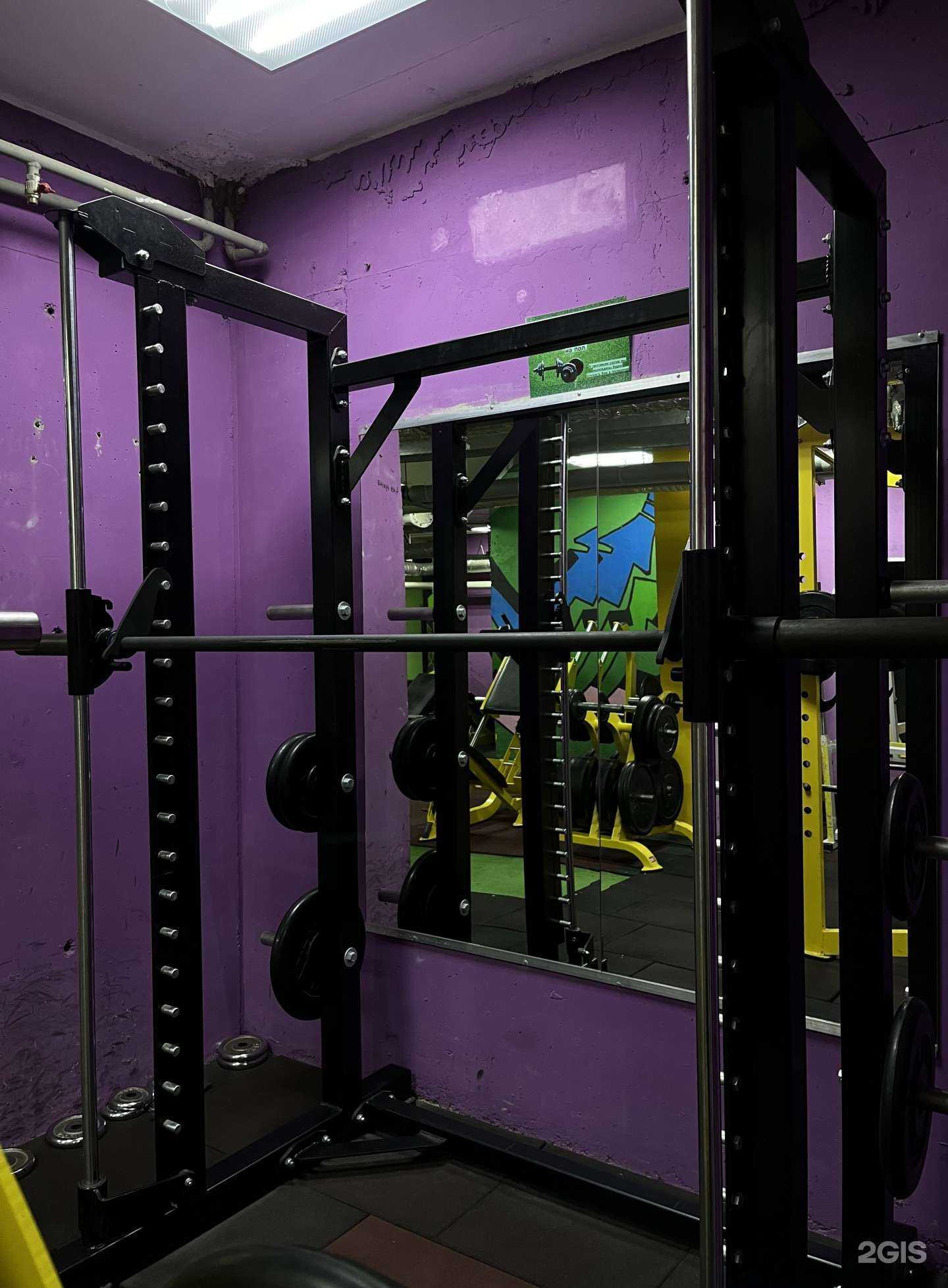 Отзывы на компанию Green gorillaz в Кемерове c фото