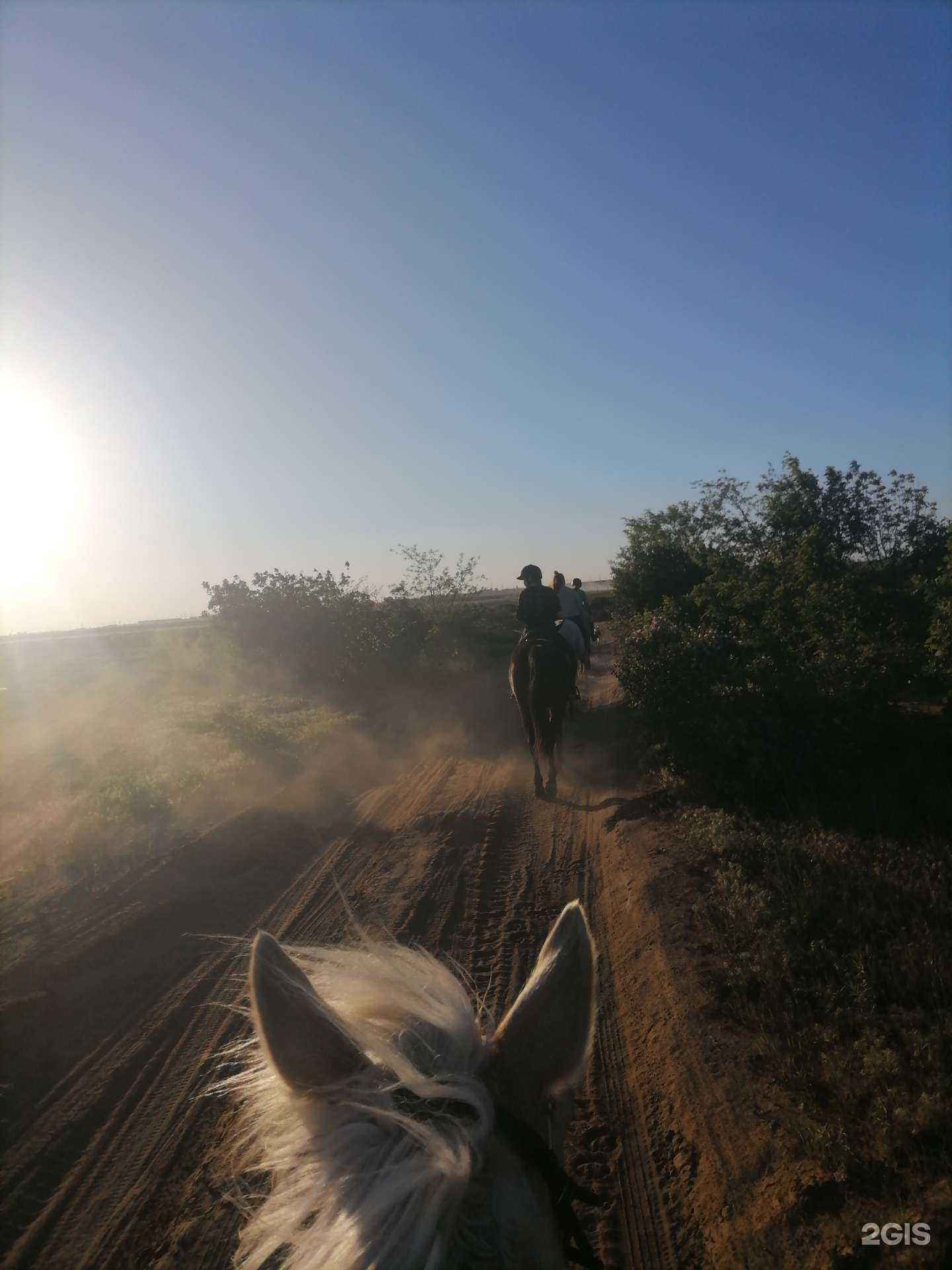Отзывы на компанию Фаворит в Волгограде c фото