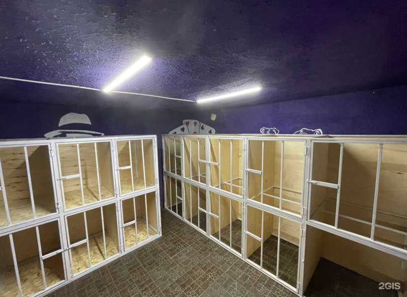 Отзывы на компанию Питомец в г. Хабаровск c фото