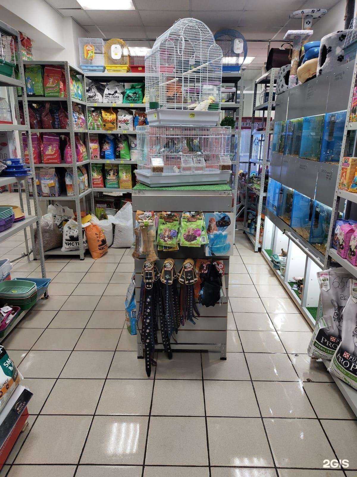 Отзывы на компанию Пиранья в г. Стерлитамак c фото