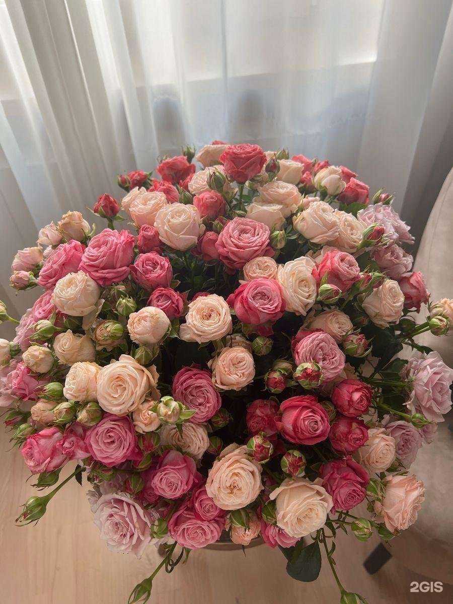 Отзывы на компанию Бегемот&Бантик в г. Светлогорск c фото