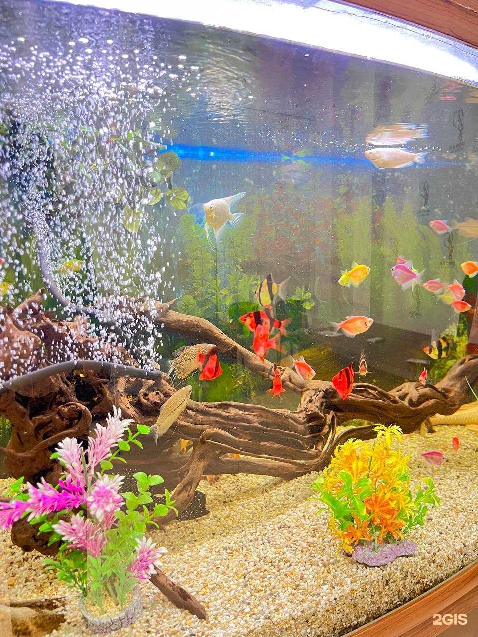 Отзывы на компанию Личное дело в Анапе c фото