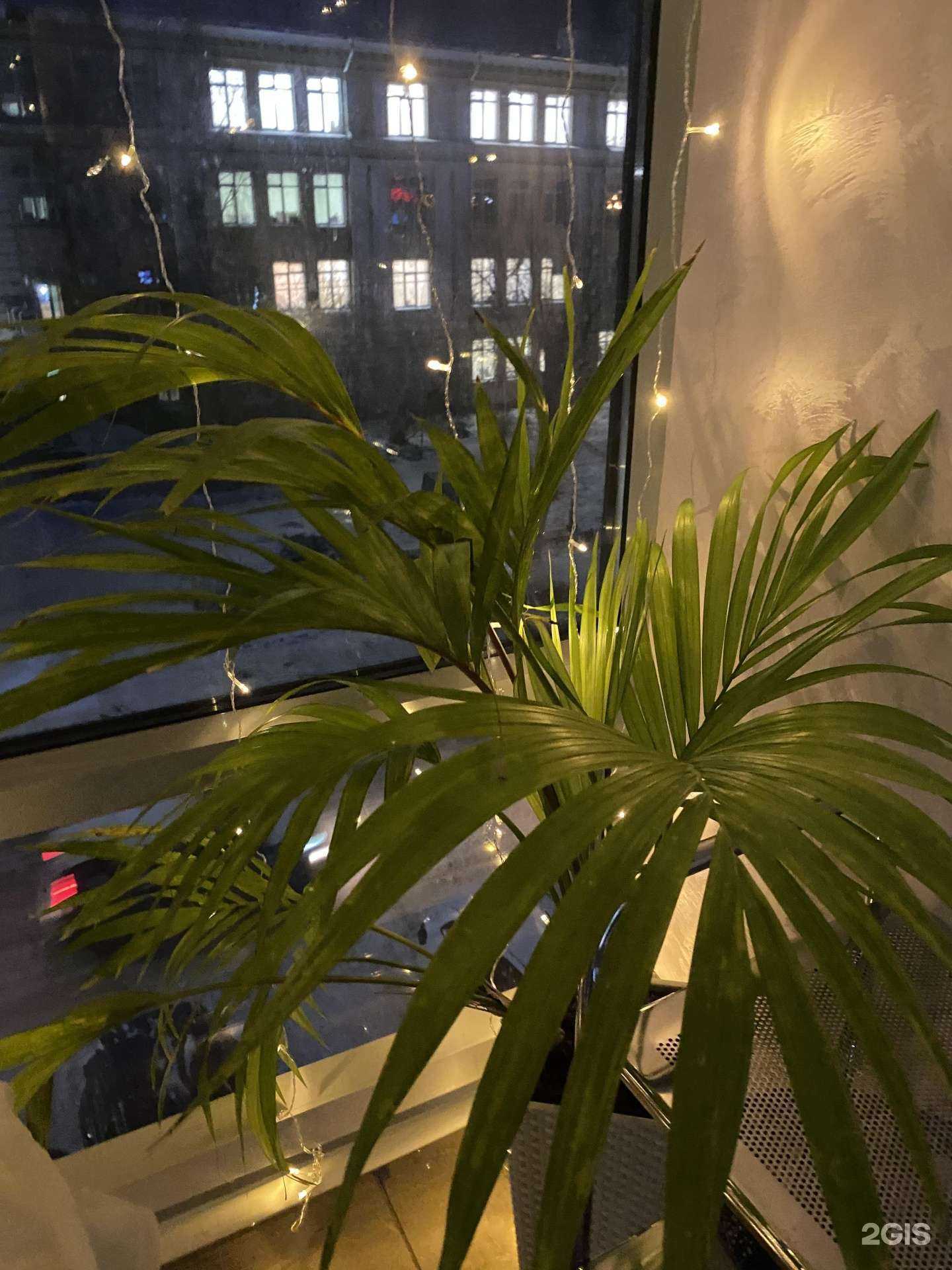 Отзывы на компанию Пирамида Beauty в Архангельске c фото