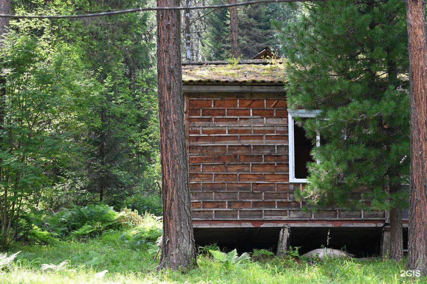 Отзывы на компанию Эдельвейс в г. Дивногорск c фото