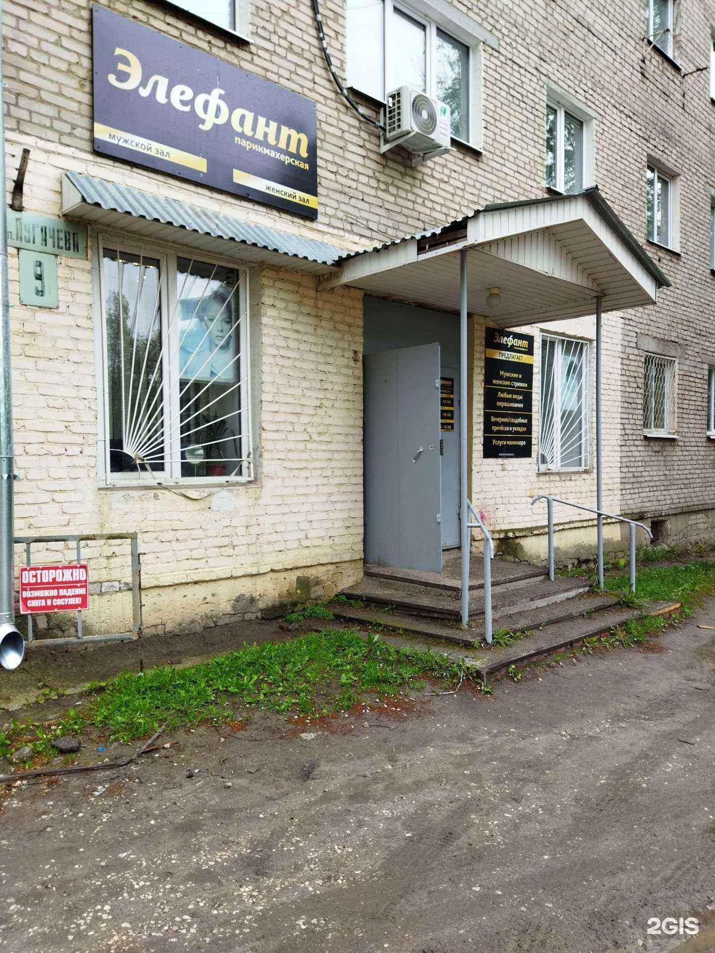 Отзывы на компанию Элефант в Коврове c фото