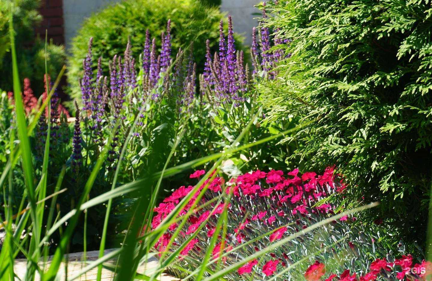 Отзывы на компанию Парадиз в г. Тольятти c фото