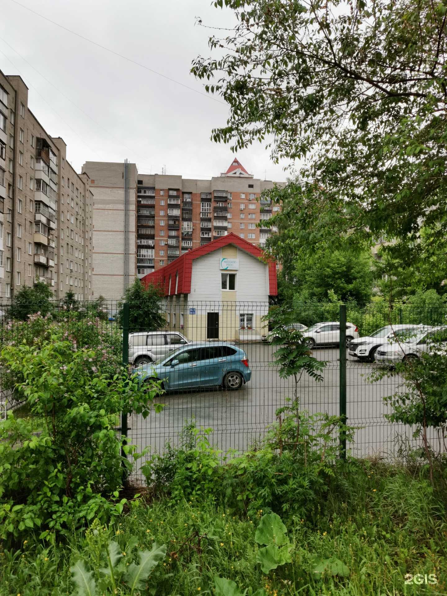 Отзывы на компанию Студия заботы о ваших питомцах в Новосибирске c фото - фотография 2 из 2