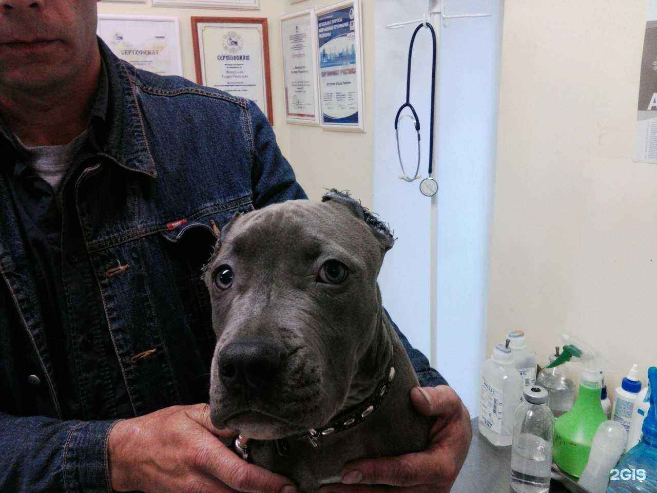 Отзывы на компанию Журавлик в Тольятти c фото