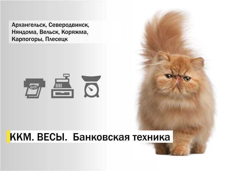 Отзывы на компанию ККМцентр в г. Архангельск c фото