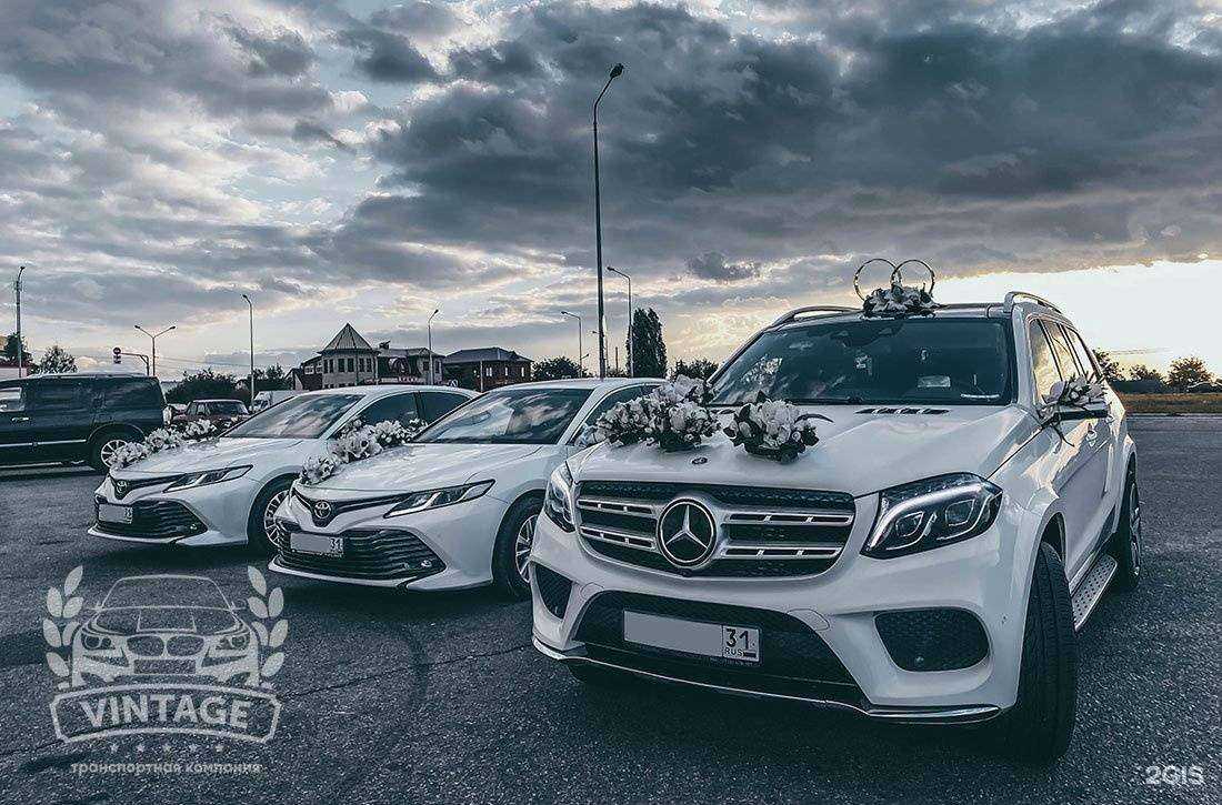 Отзывы на компанию Cars Park в Белгороде c фото