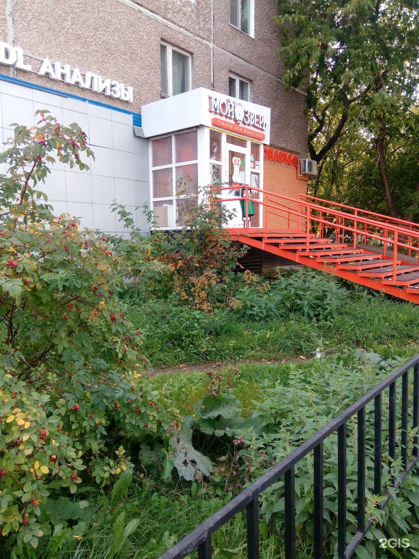 Отзывы на компанию Мой зверь в Перми c фото