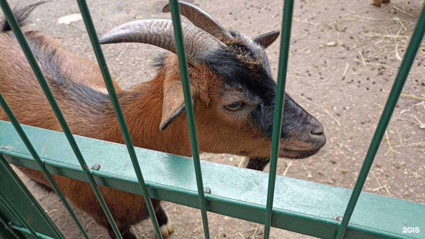 Отзывы на компанию Столовая в Нижнем Новгороде c фото