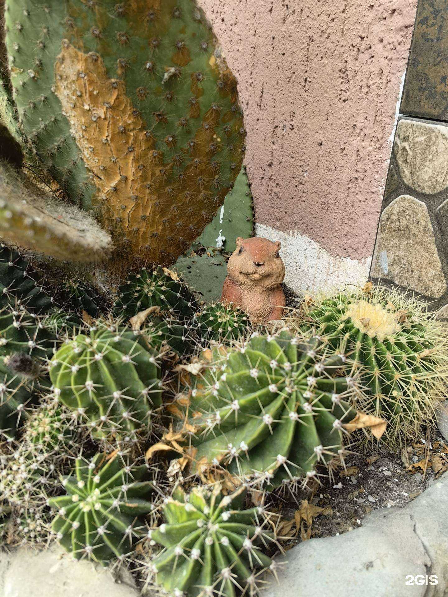 Отзывы на компанию Анита в Сочи c фото