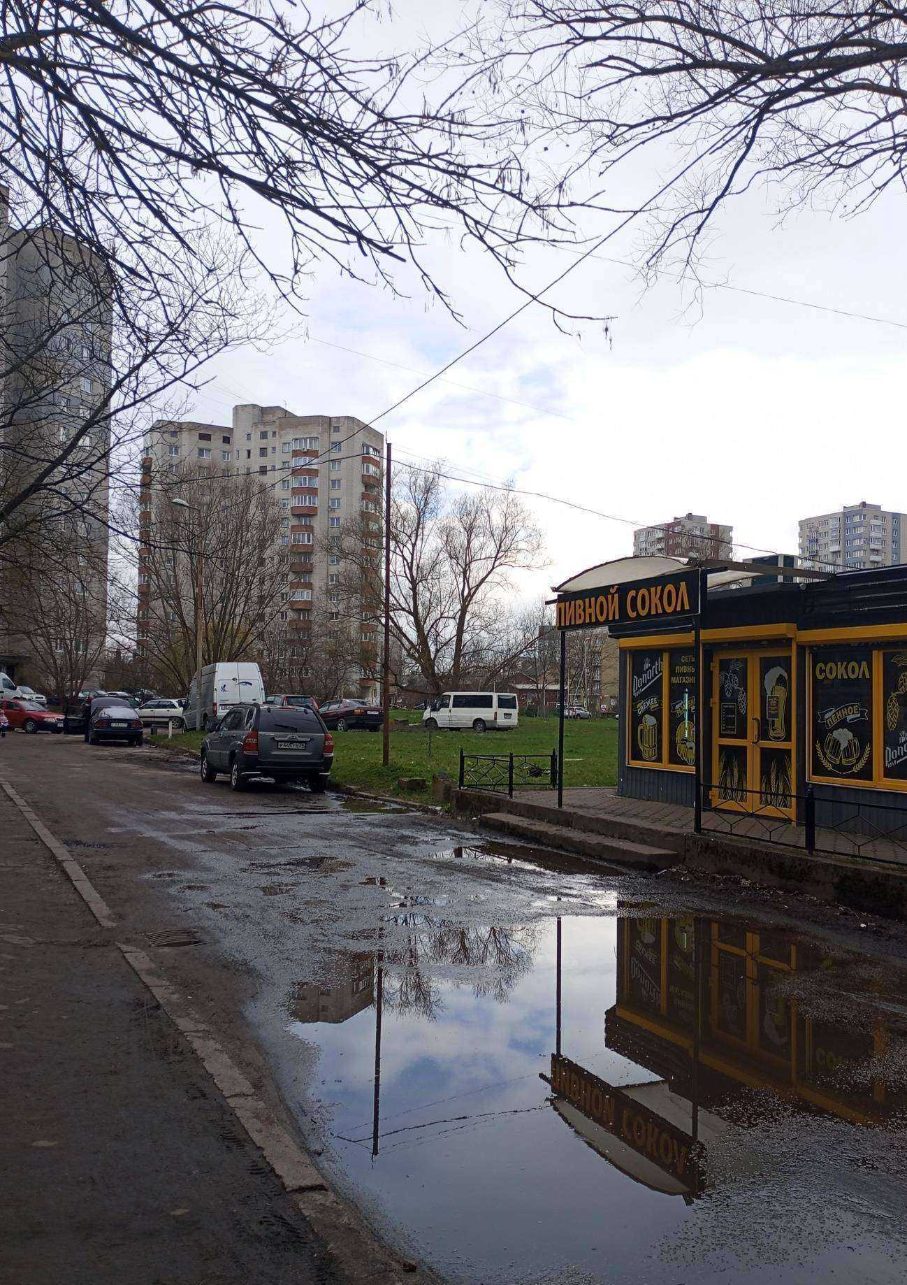 Отзывы на компанию Пивной сокол в г. Калининград c фото