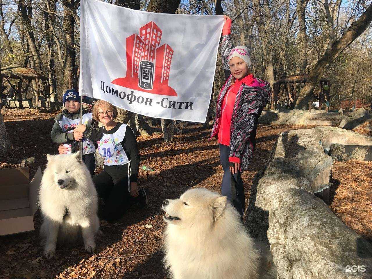 Отзывы на компанию Домофон-Сити в Ставрополе c фото