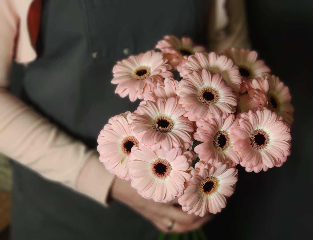 Отзывы на компанию Тюльпан в г. Астрахань c фото