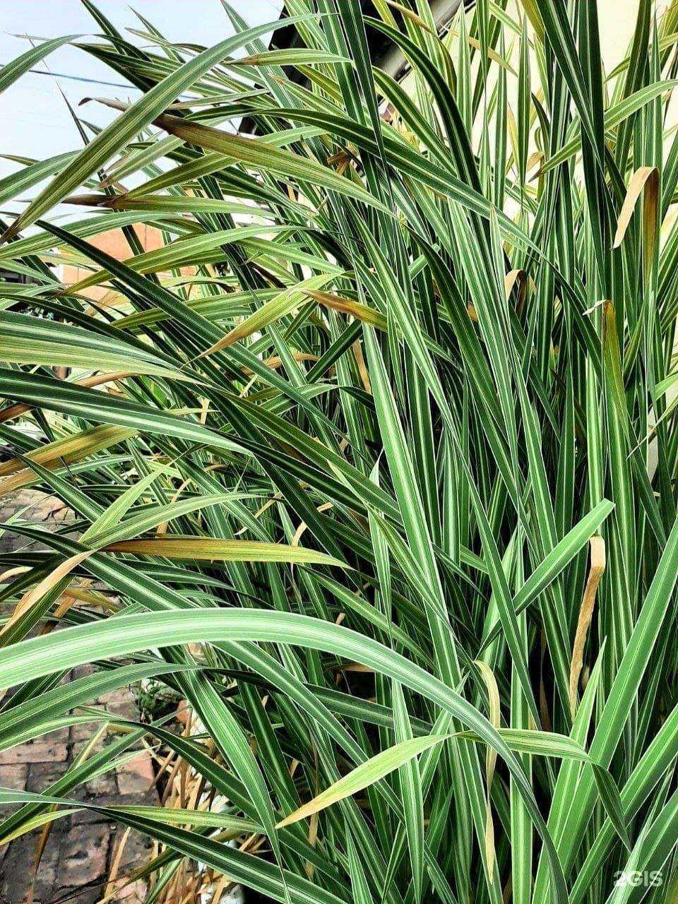 Отзывы на компанию Аквариум в Краснодаре c фото