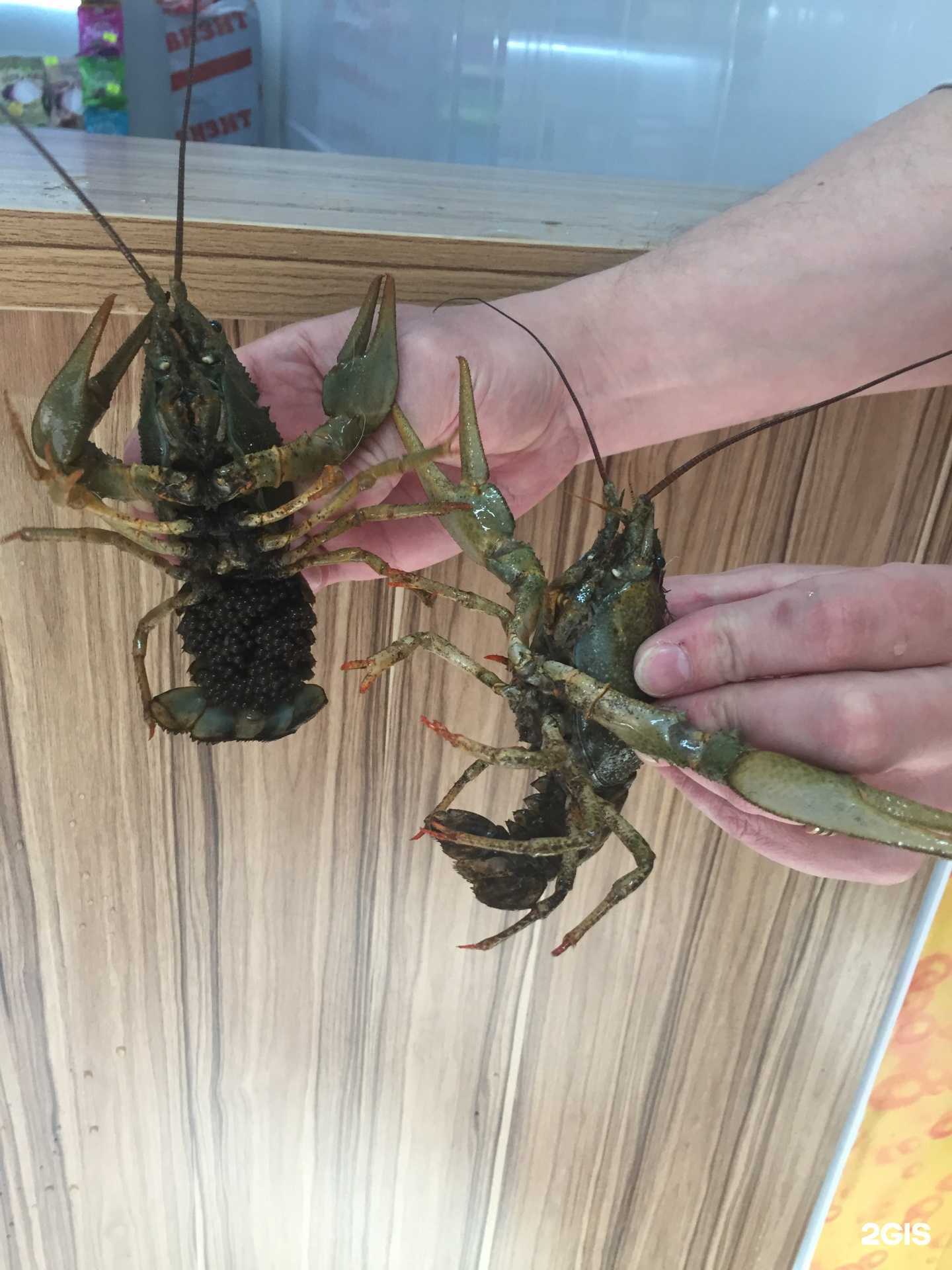 Отзывы на компанию Пивная книга в г. Саратов c фото