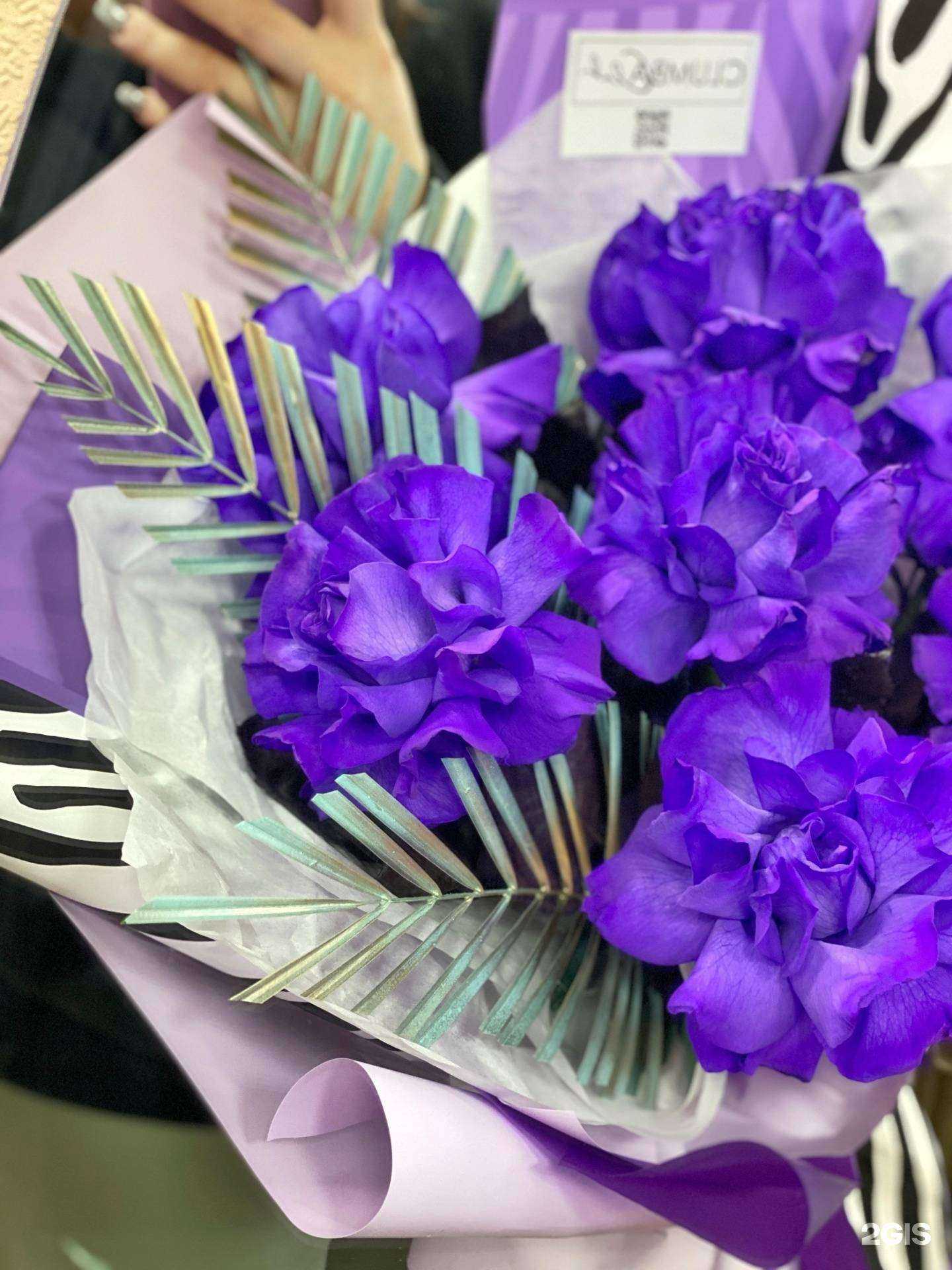 Отзывы на компанию Clumba club в Нытве c фото