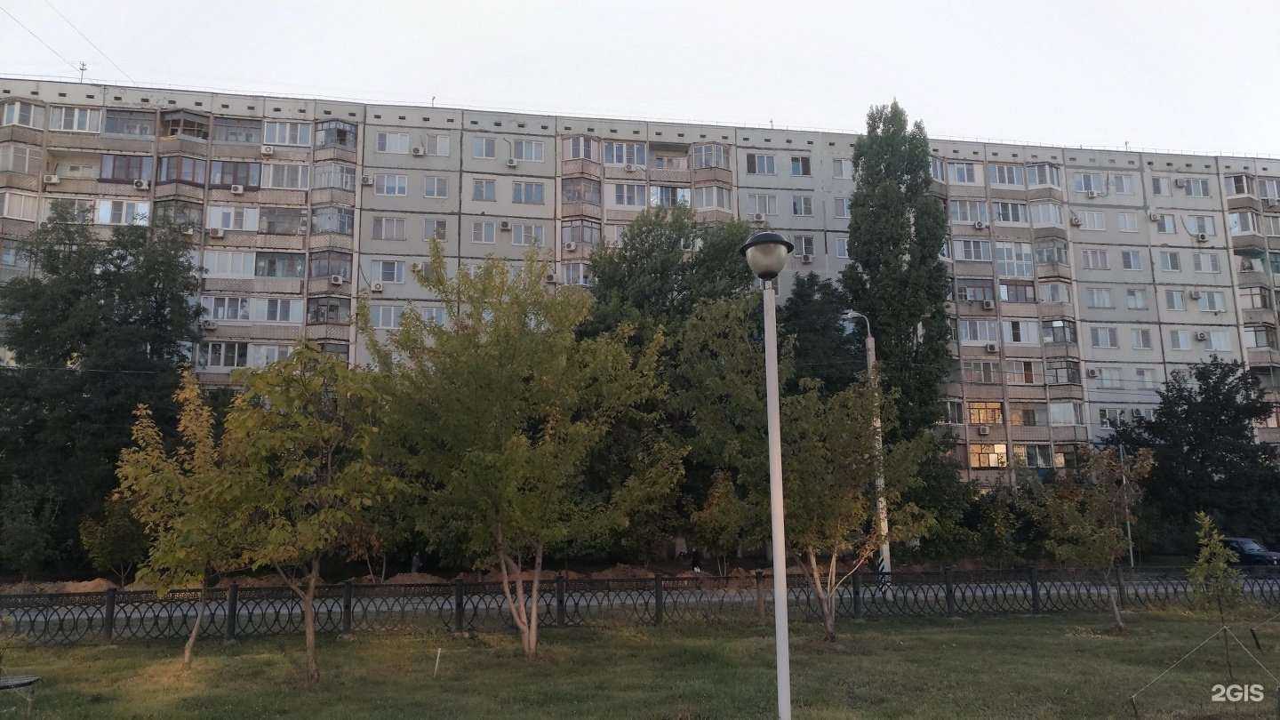 Отзывы на компанию Студия красивых волос Алины Кошкиной в Волгограде c фото - фотография 2 из 2