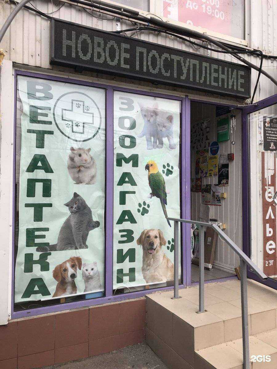 Отзывы на компанию Зоомагазин в г. Краснодар c фото