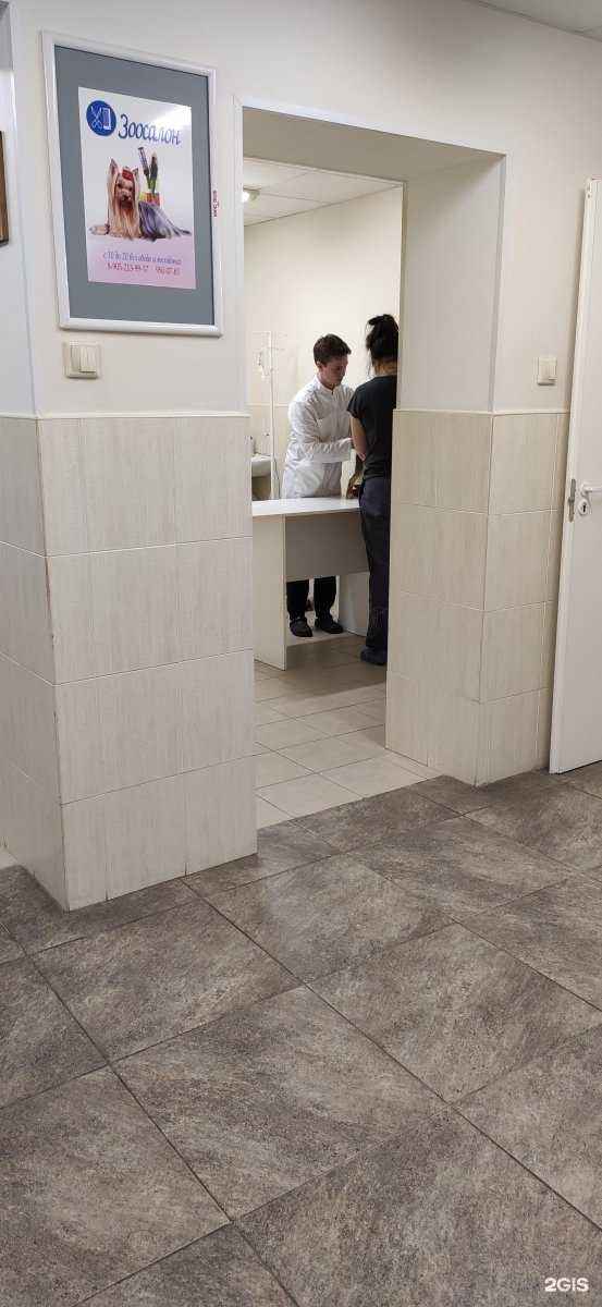 Отзывы на компанию АпексВет в Сертолове c фото