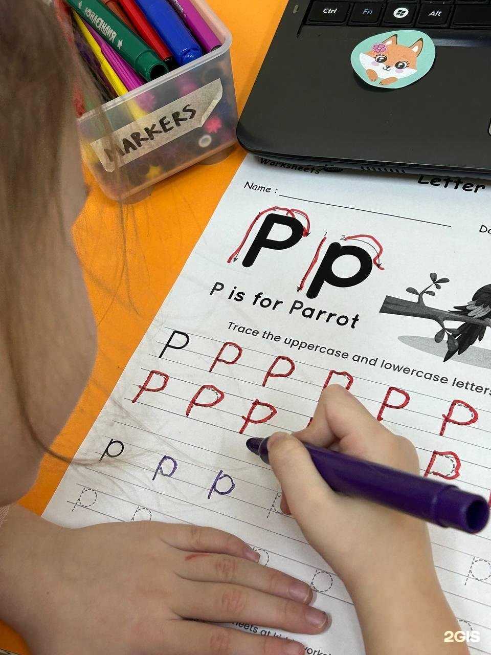 Отзывы на компанию Кот Лимон в г. Казань c фото