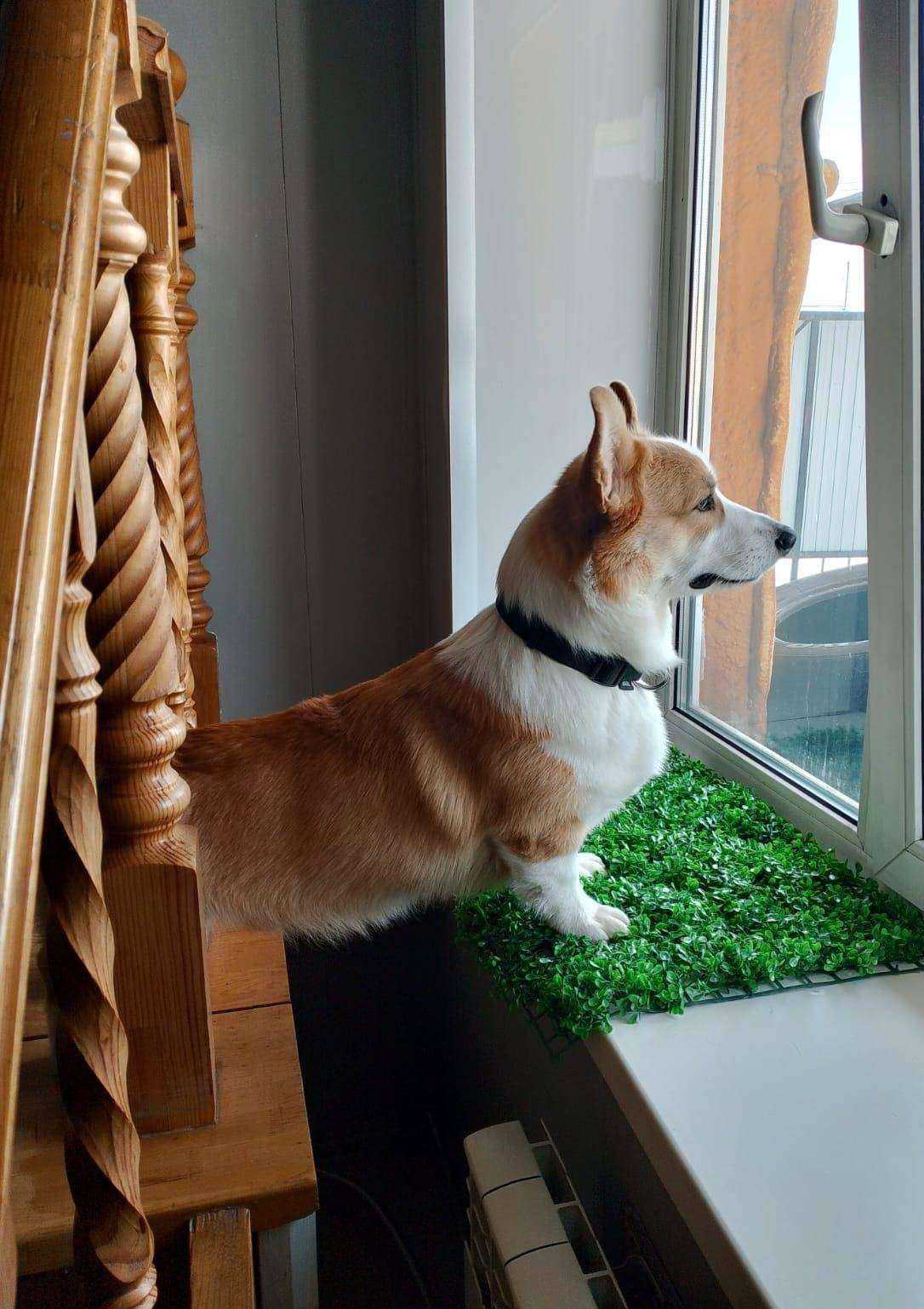 Отзывы на компанию Pride в Южно-Сахалинске c фото