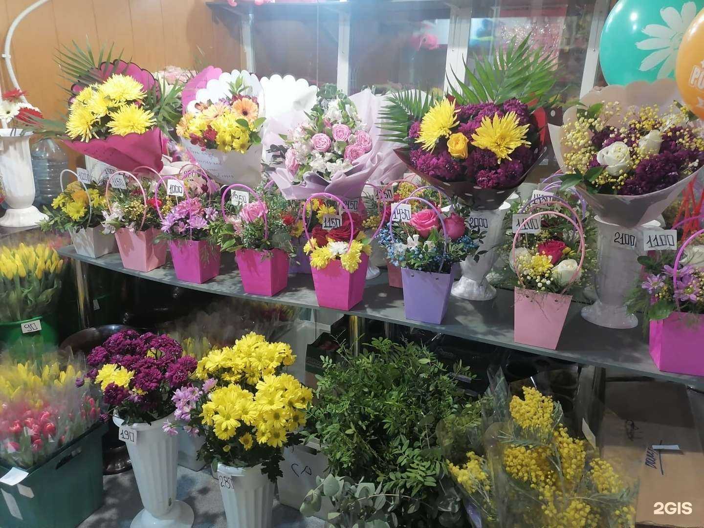 Отзывы на компанию Флора в Асбесте c фото