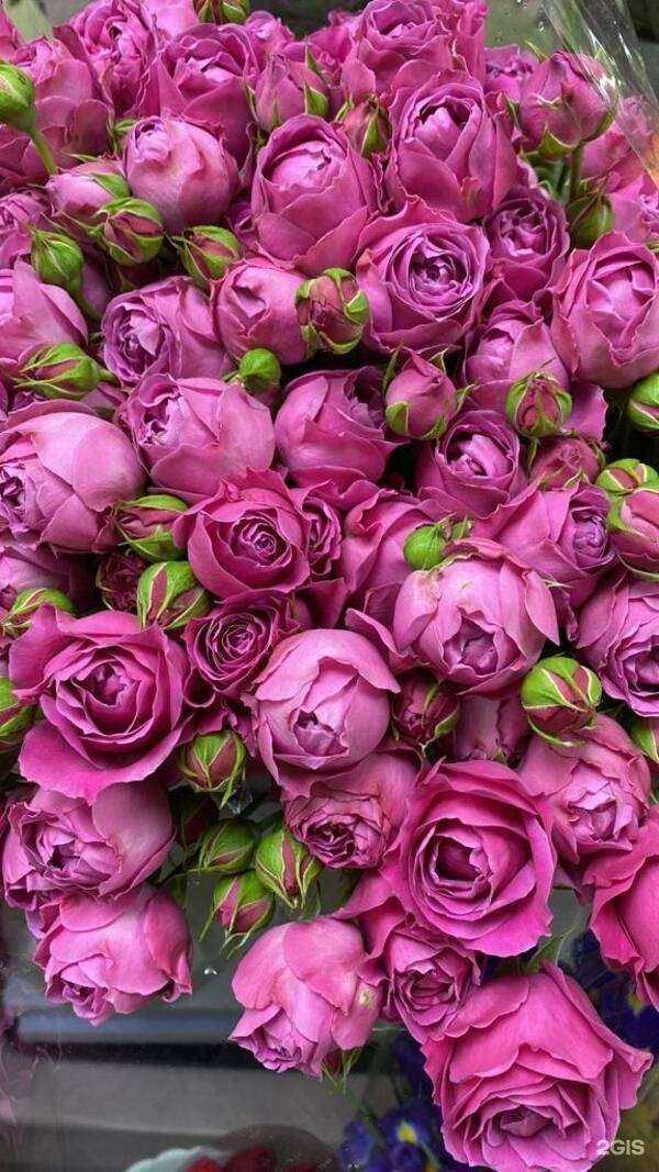 Отзывы на компанию Lovi Букет в Красноярске c фото