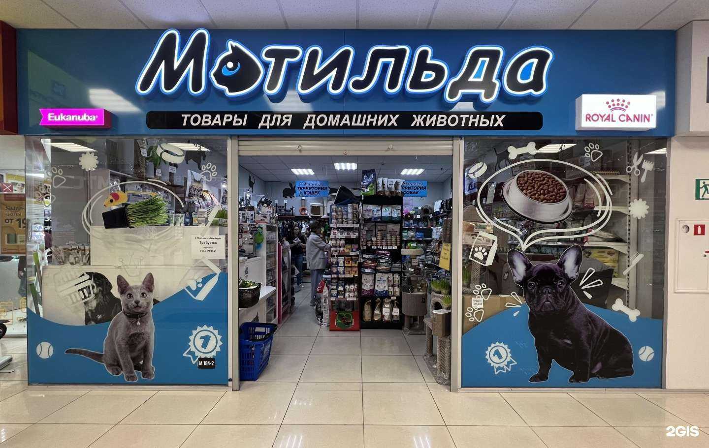 Отзывы на компанию Матильда в Магнитогорске c фото