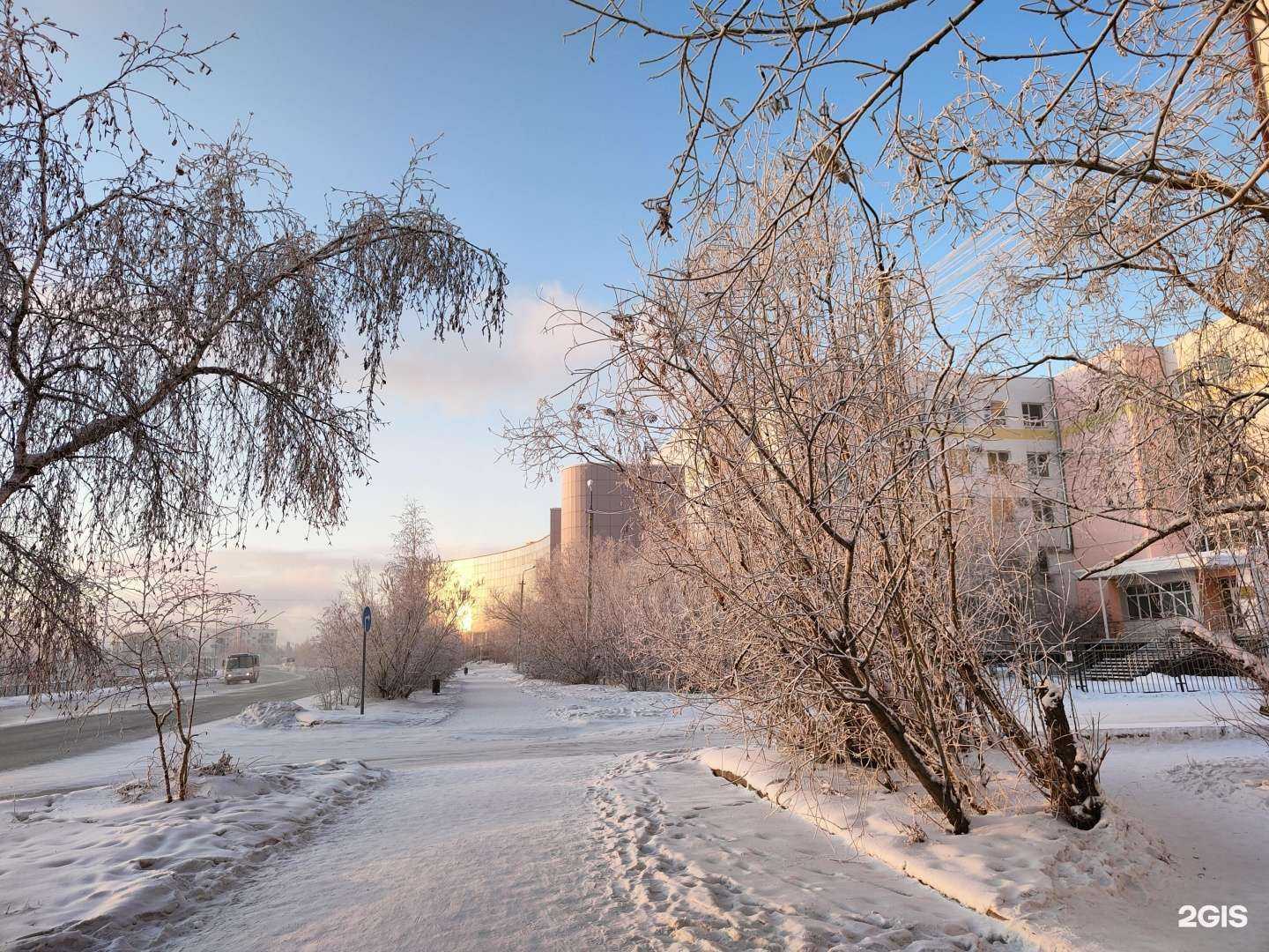 Отзывы на компанию Северо-Восточный федеральный университет им. М.К. Аммосова в г. Якутск c фото