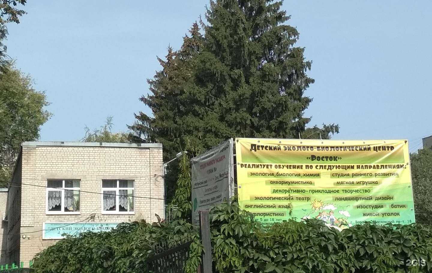 Отзывы на компанию Росток в Воронеже c фото