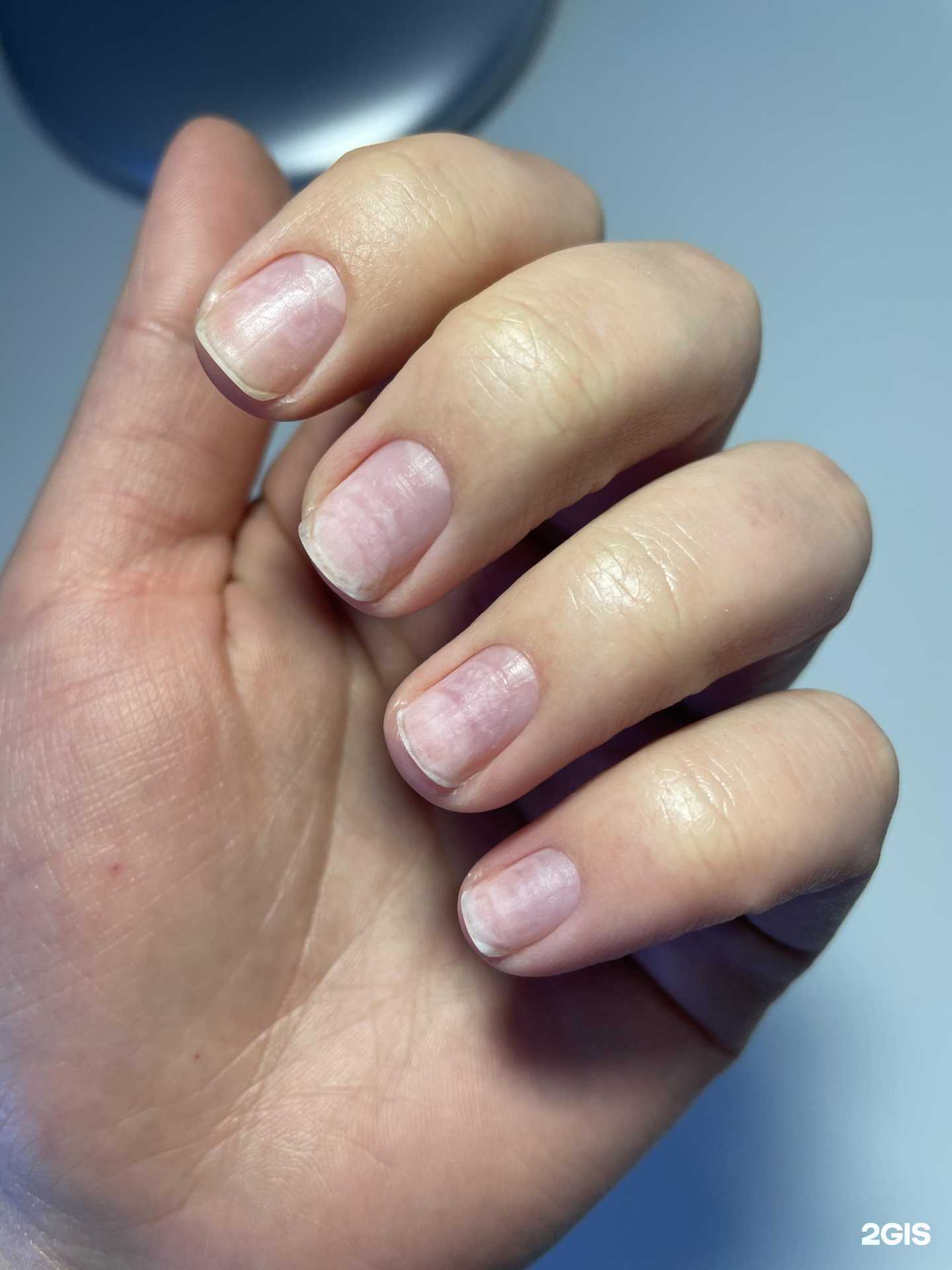 Отзывы на компанию ProfiNail в г. Рязань c фото