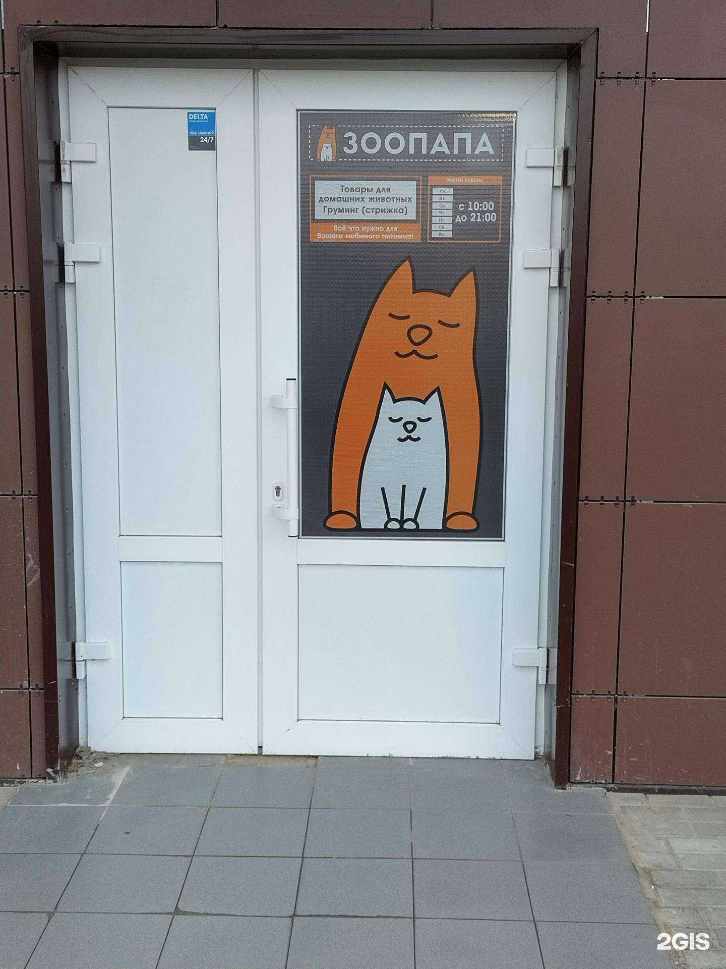 Отзывы на компанию Зоопапа в г. Ростов-на-Дону c фото