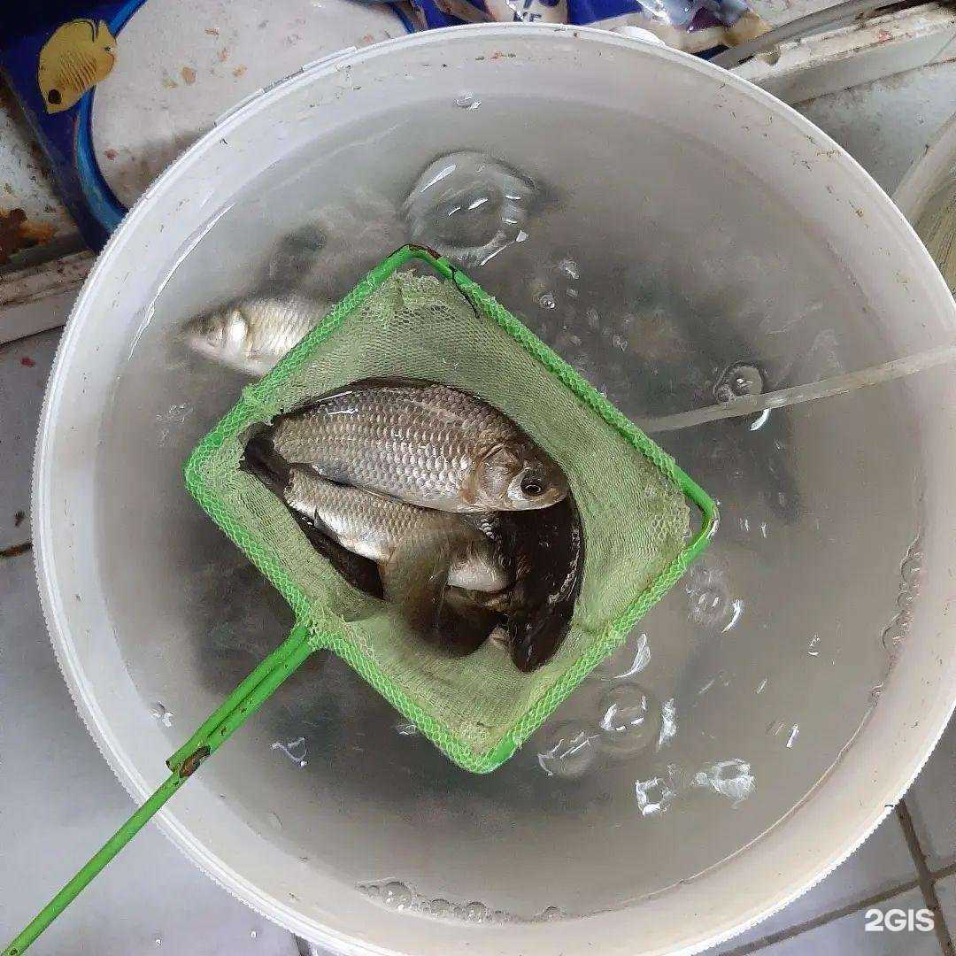 Отзывы на компанию Рыболовный рай в Новом Уренгое c фото