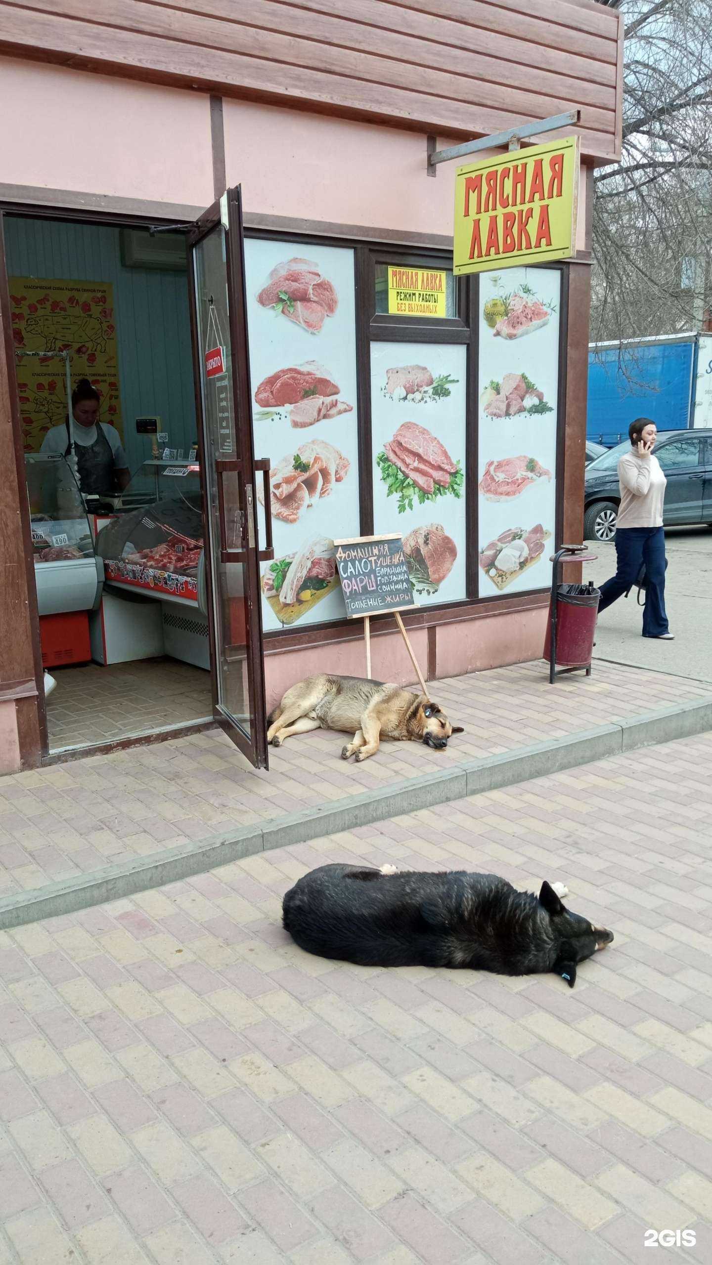Отзывы на компанию Мясная лавка в Волгограде c фото