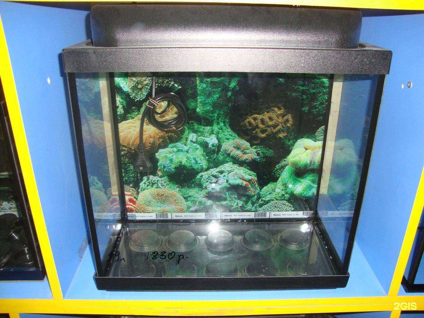 Отзывы на компанию Аквамир в Кирове c фото