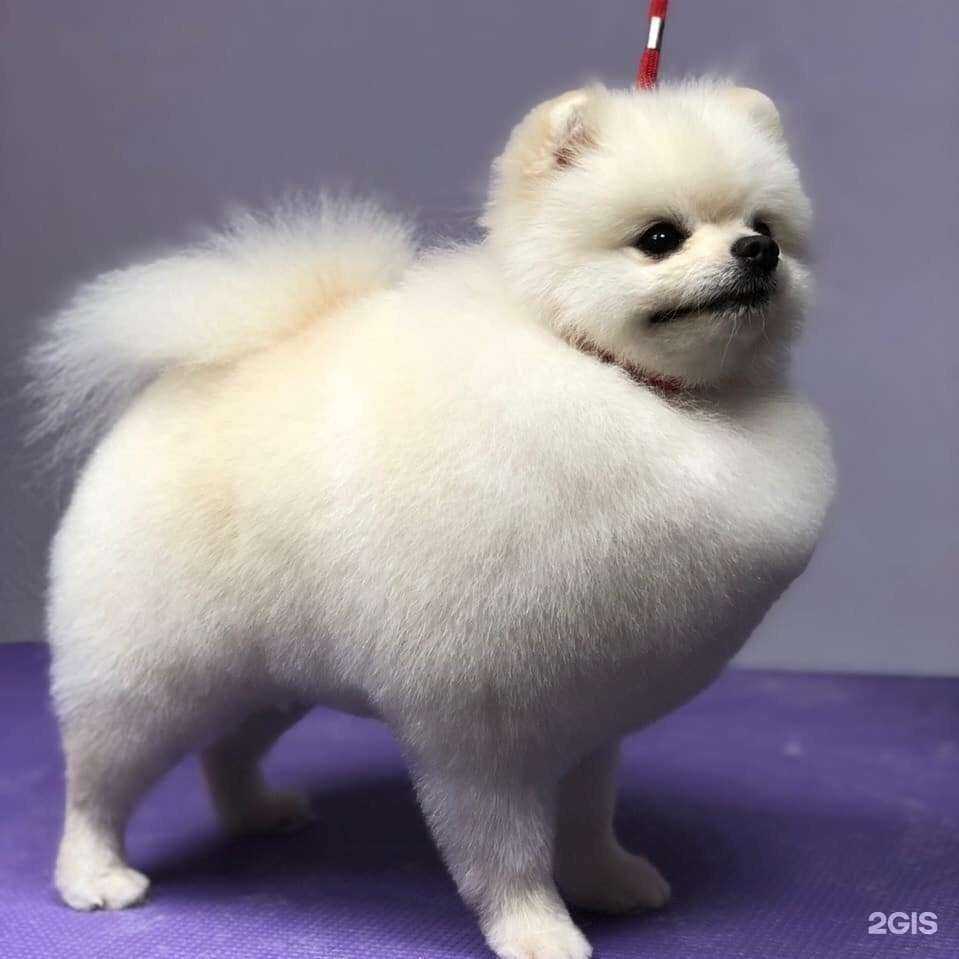 Отзывы на компанию СтилягиНВ в г. Нижневартовск c фото