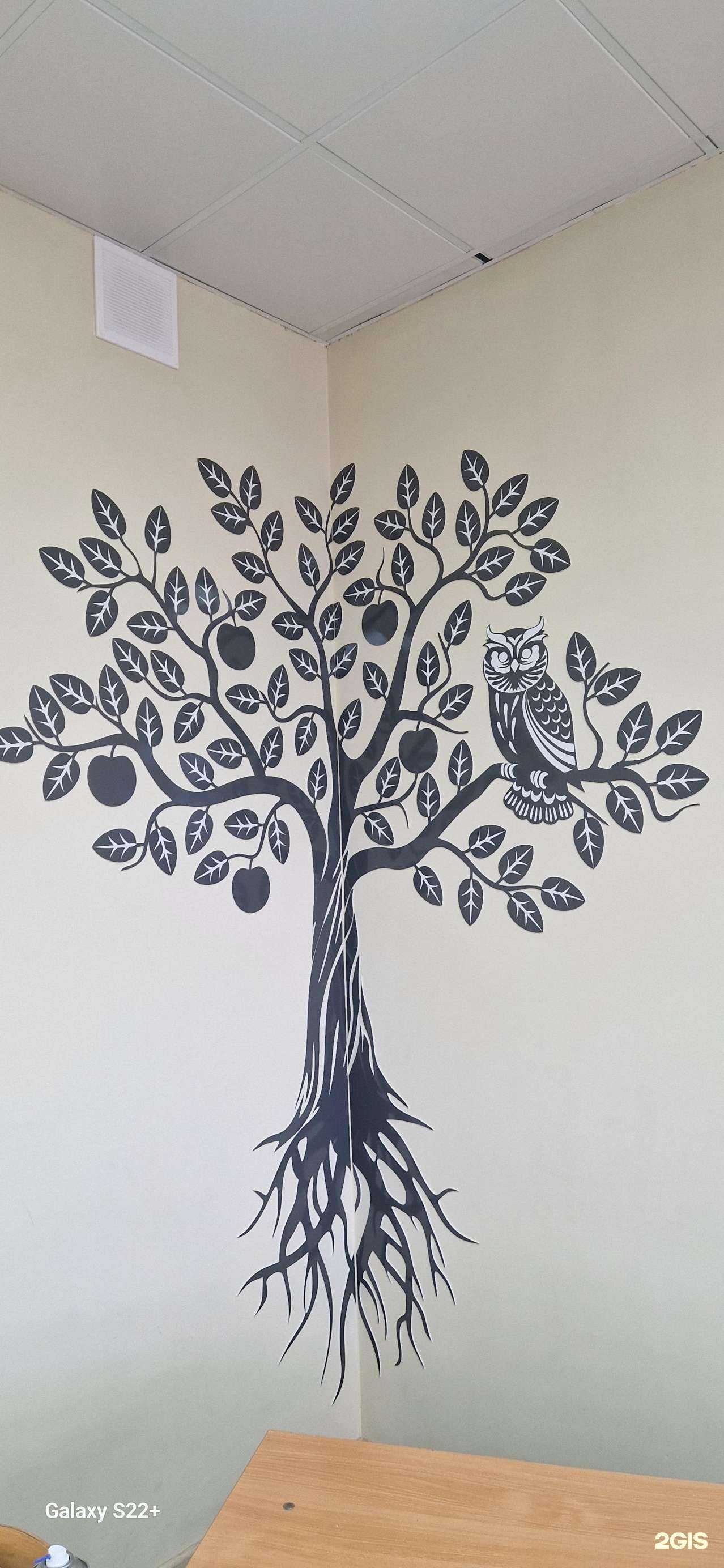 Отзывы на компанию Азимут в г. Артём c фото