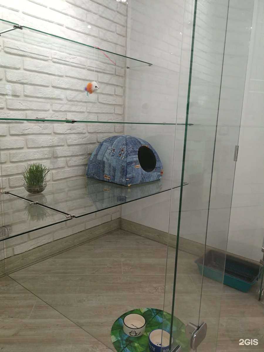 Отзывы на компанию Cat Tsap в Ростове-на-Дону c фото