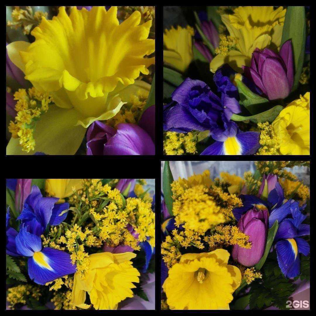 Отзывы на компанию Анжелика в г. Курган c фото