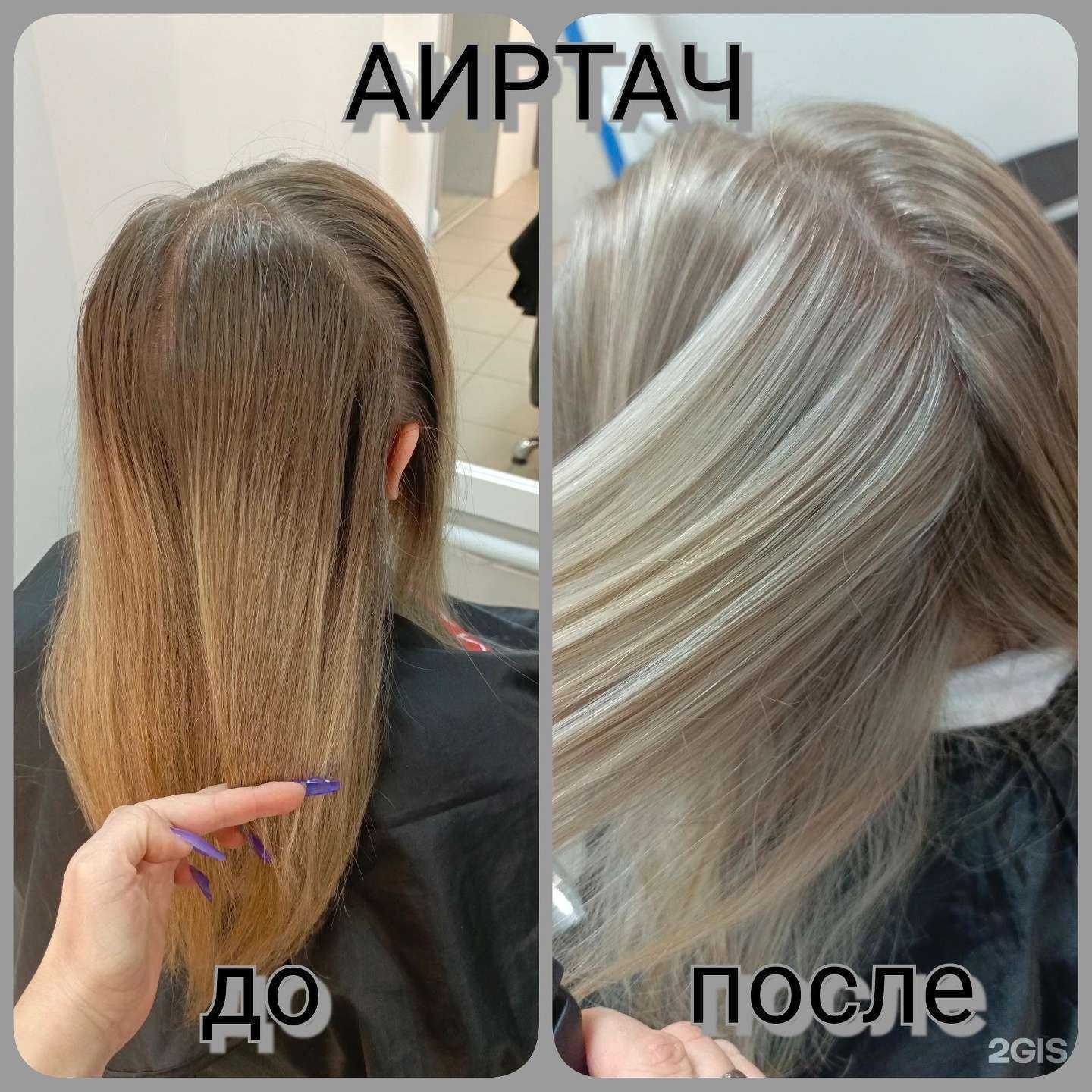 Отзывы на компанию Медведица в Сочи c фото