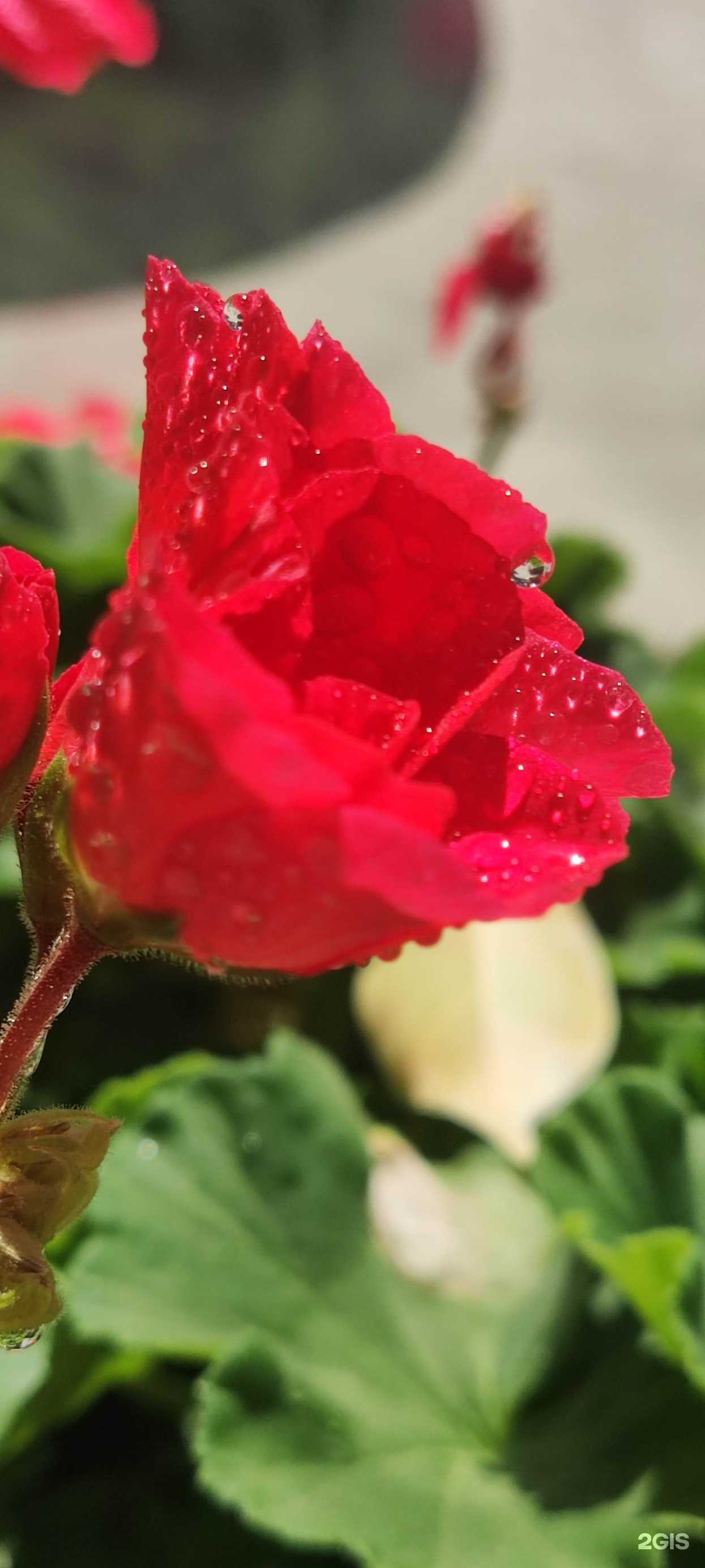 Отзывы на компанию Дверисочи.рф в г. Сочи c фото