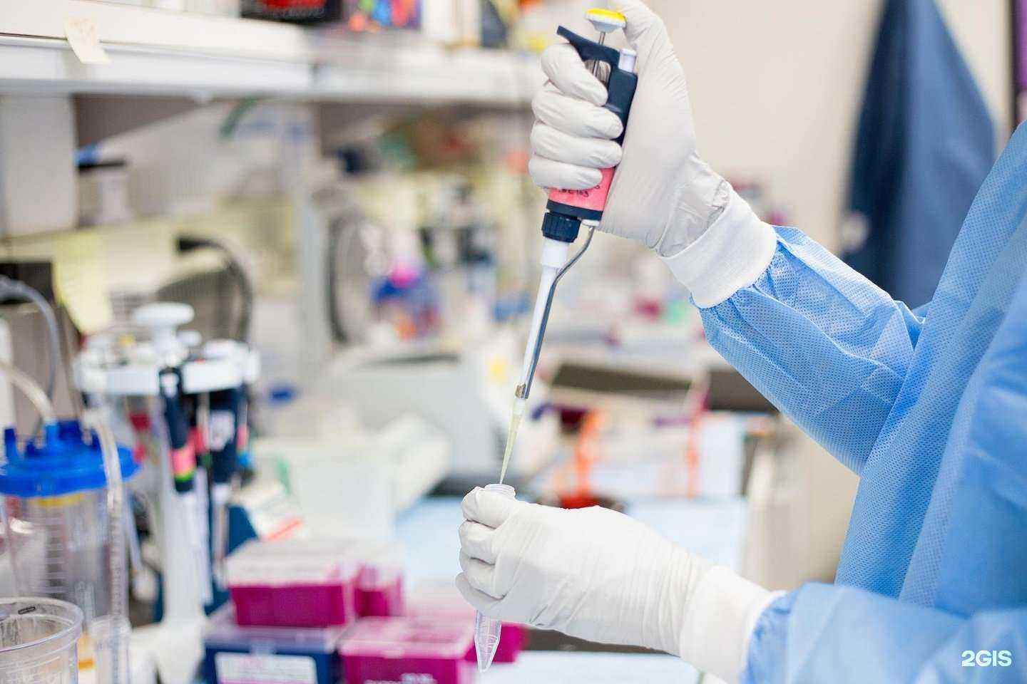 Отзывы на компанию ВетЛаб в Уфе c фото