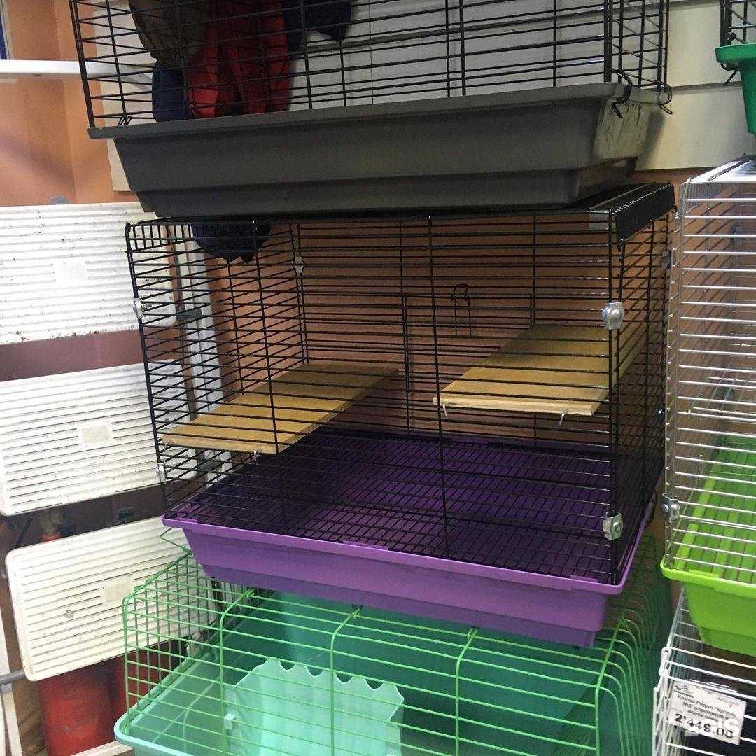 Отзывы на компанию Любимец в Ульяновске c фото