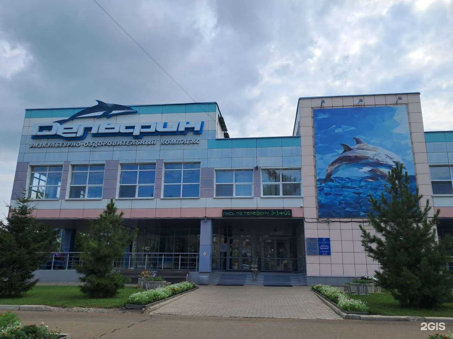 Отзывы на компанию Дельфин в Канске c фото - фотография 2 из 2