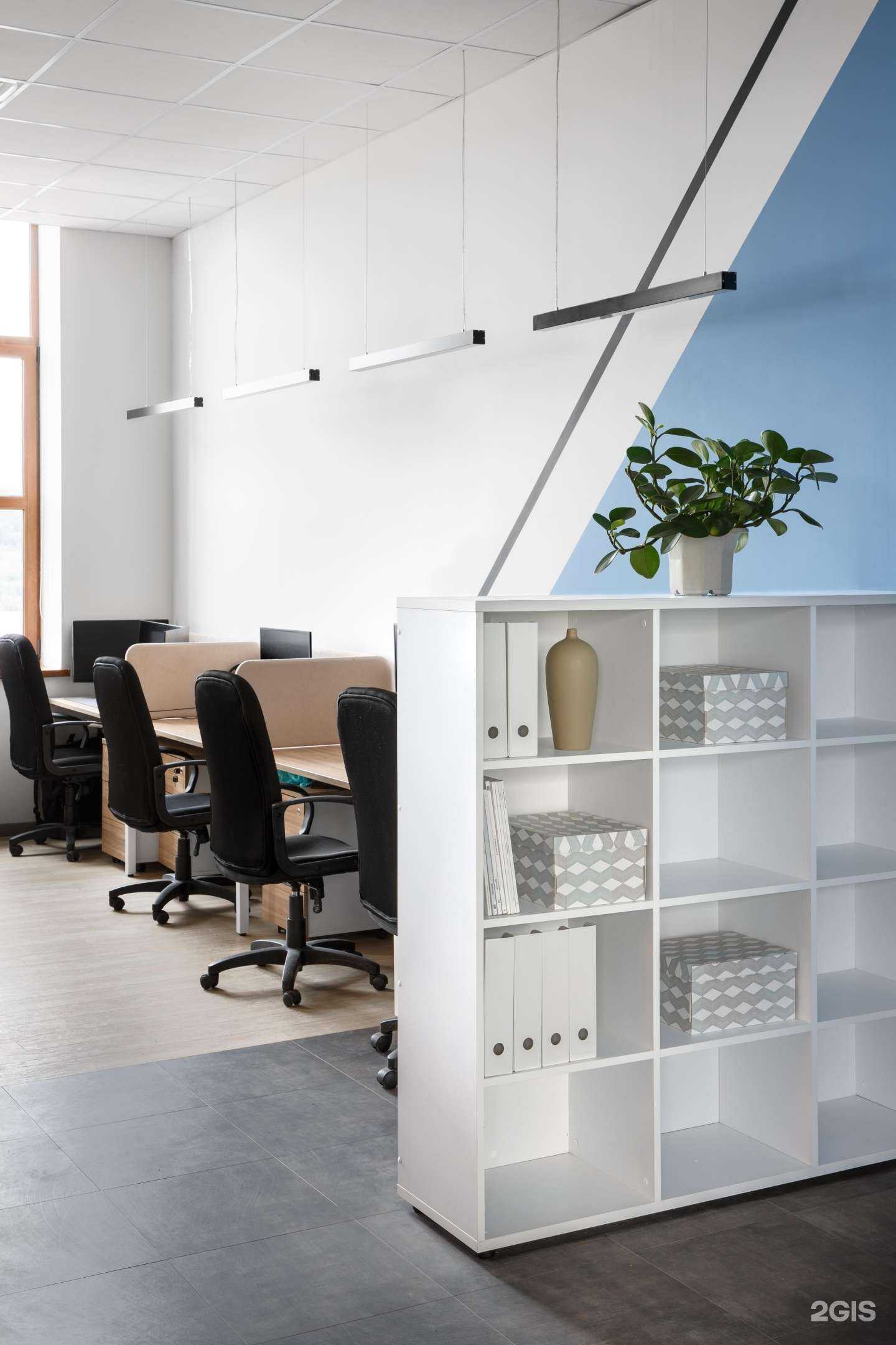 Отзывы на компанию DNS Tech в Владивостоке c фото