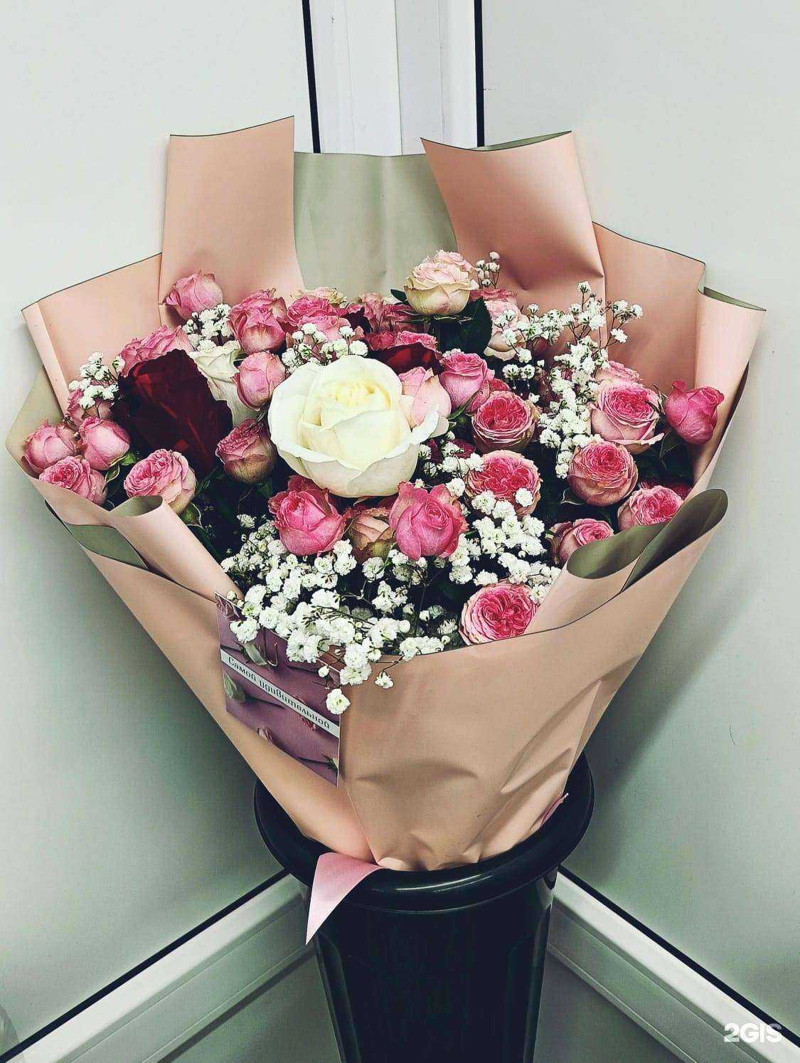 Отзывы на компанию Дарина в Стерлитамаке c фото